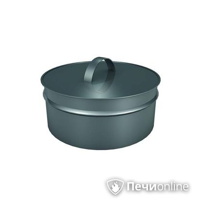 Заглушки Теплов и Сухов Заглушка ревизии Термо-Р 304 0.5 D220(120) в Орске