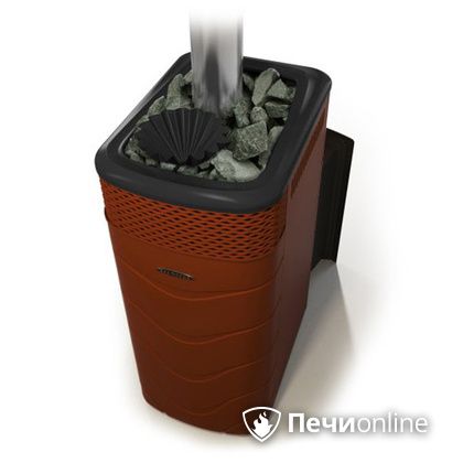 Дровяная банная печь TMF Гейзер XXL 2017 Inox Витра закрытая каменка терракота в Орске